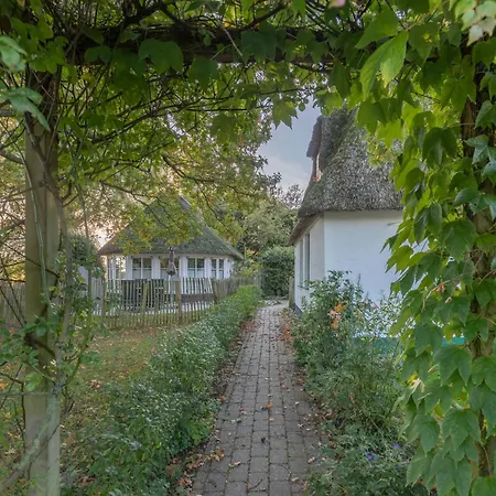 Kastanienhof Hagebutte Διαμέρισμα Wisch (Nordfriesland)